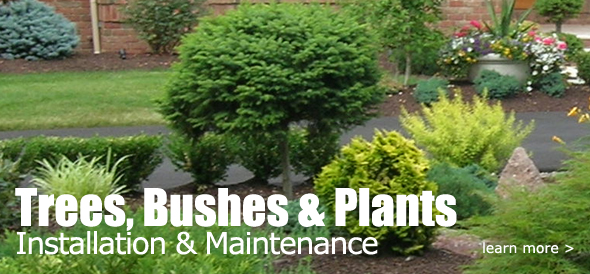 Tree & Shrub Experts Monmouth Middlesex Ocean County