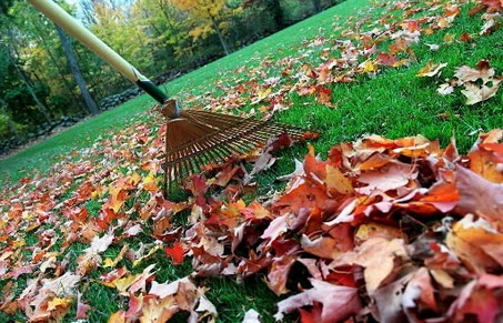 Fall Yard Clean Up Freehold NJ