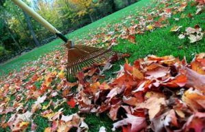 Fall Yard Clean Up Red Bank NJ