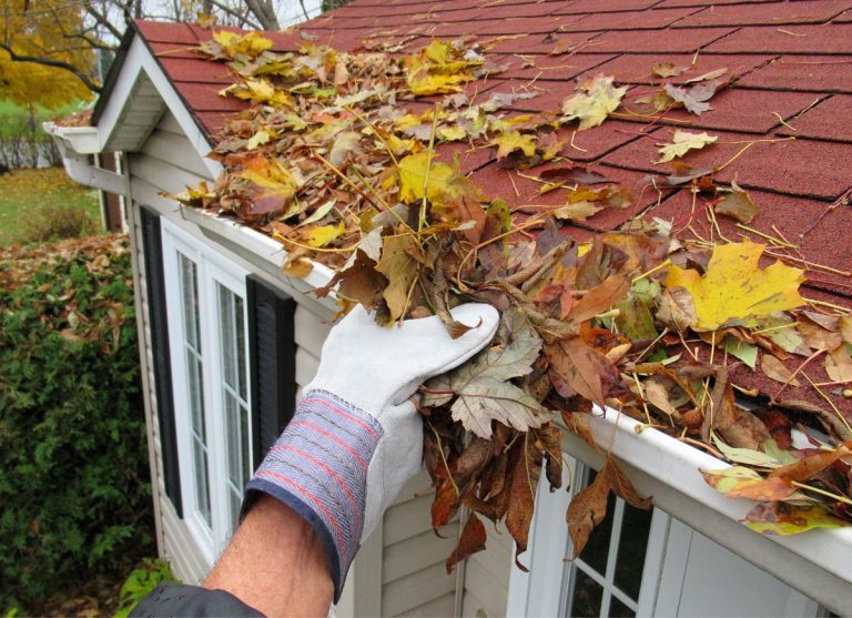 Gutter Cleaning Ramtown NJ