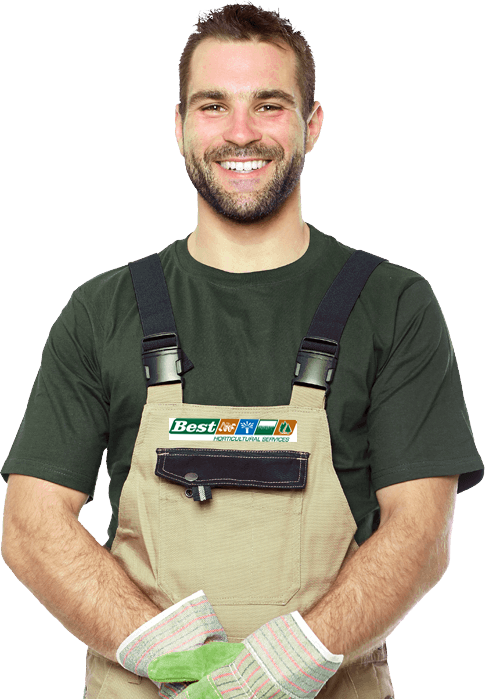 Lawn Care Service Morganville NJ
