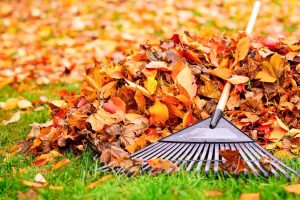 Fall Yard Clean Up Service in Monmouth County NJ
